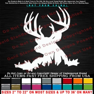 - Hirsch 10 Punkt Weißschwanz Bock ruht Auto Jagd LKW Aufkleber Vinyl Decal - Bild 1 von 11