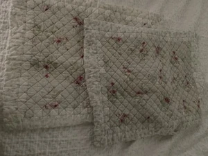 2- Simply Shabby Chic Lady Rose Standard Shams Green Pink Quilted Rachel Ashwell - Bild 1 von 5