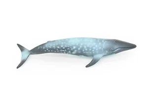 Blue Whale, Toy, Realistic Rubber Model Hand Painted Figurine Gift 7" CH155 - Picture 1 of 7