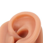 3D Piercing Practice Ear Model Dark Ear Model For Earrings Acupuncture (Left)