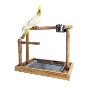 Parrot Playstand Bird Playground Wood Perch Gym Training Stand Playpen Bird Toys - Picture 1 of 9