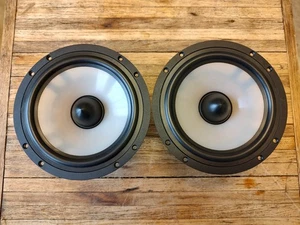 Par de Wooferes Paradigm 6.5" /P/N 2010383730 / Ajuste ADP-370 v4 / Probado / Excelente - Imagen 1 de 8