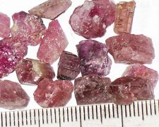 Rubellite tourmaline natural small pieces all under 1 gram 5 pieces from picture