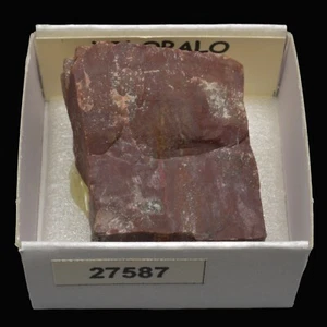 XILOPALO "Madera fosil" (Madagascar) #27587 / Petrified wood - Bild 1 von 1