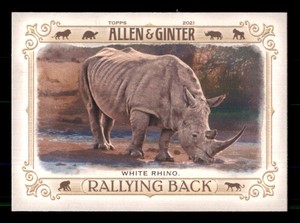 2021 Topps Allen & Ginter #RB-7 White Rhino NR-MT