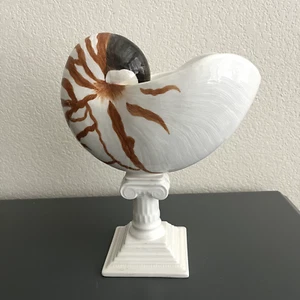 Vintage Raymond Waites Oceana Keramik Sockel Muschel selten - Bild 1 von 17