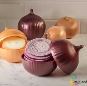 NEU Zwiebel Frische Aufbewahrung Küche Lebensmittel Box Organizer Knusper Gemüse - Bild 1 von 2