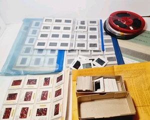 Lot of ~200 Vintage Photo Slides, Scientific, Medical Focal Point, Vaticano, Etc - Picture 1 of 23