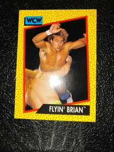 1991 Impel WCW - Brian Pillman #62 (RC) - Bild 1 von 2