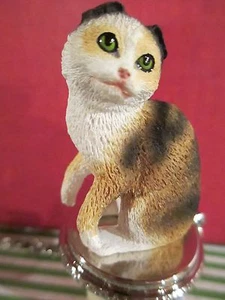 CAT SCOTTISH FOLD TORTISE  & WHITE TABBY WINE - Picture 1 of 1