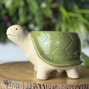 Novelty Tortoise Planter - Picture 1 of 6