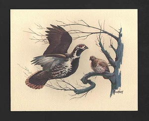 *De colección* Frederick Sweney Wildlife Años 70 Estampado 3-D CODORNIZ PÁJARO NUEVO DE LOTE ANTIGUO - Imagen 1 de 3