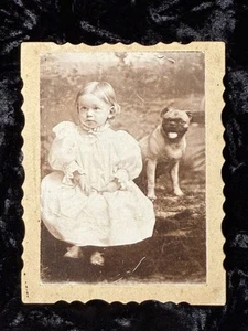 Antique Cabinet Card Photo Photograph Boy Pug Dog Jefferson County Arkansas - Picture 1 of 9
