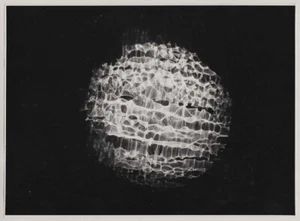 Foto original de colección de los años 70 estructura psíquica, experimental, arte abstracto - Imagen 1 de 1