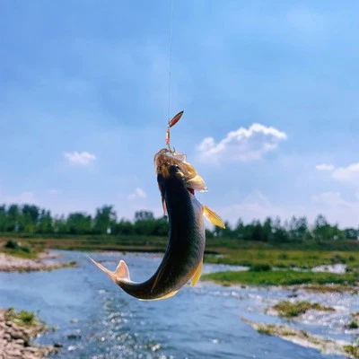 Hochwertige langlebige Angelspinner Süßwasser rotierend Salzwasser - Bild 1 von 4