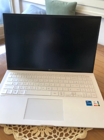 LG gram 15ZD95Q-GX56K 15" FHD 1920 x 1080 LCD i5-1235U 16 GB SSD 256 GB /... - Immagine 1 di 1