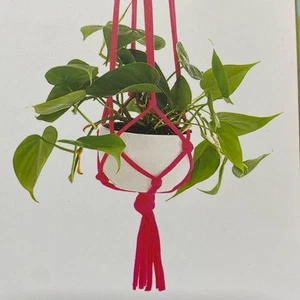 Brit & Co Rosa & Weiß Makramee Pflanzgefäß Zum Selbermachen Kit Neu im Karton - Bild 1 von 5