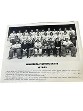 1974-75 Minnesota Fighting Saints Hockey Team Photo WHA 8”x10”