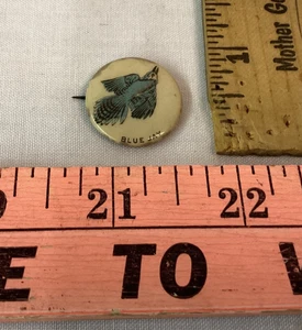 Vintage Celluloid Pinback Button BIRD Pin Back Button BLUE JAY Whitehead & Hoag - Picture 1 of 4