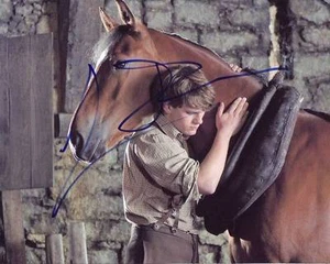 Jeremy Irvine Signed Autographed 8x10 War Horse Albert Narracott Photograph - Picture 1 of 1