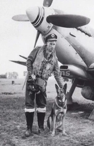 ZWEITER WELTKRIEG BILD FOTO UK RAF SPITFIRE PILOT RAGNOR DOGGER UND SEIN HUND 6850 - Bild 1 von 1