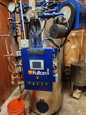 Caldera de vapor Fulton 2011 15 hp a gas Foto 1 de 4