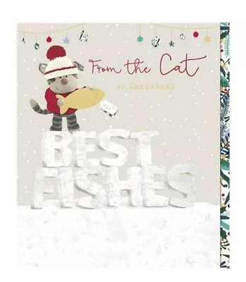 UK GREETINGS From the Cat Best Fishes Christmas Card Boofle Puddy Cat New