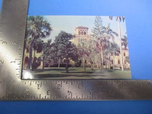 Vintage John Mable Museum of Art Sarasota FL Ringling Bros Circus Post Card PC58