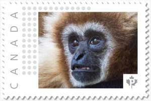 GIBON MONKEY = sello postal MNH Canadá 2018 [p18-09-01] - Imagen 1 de 2