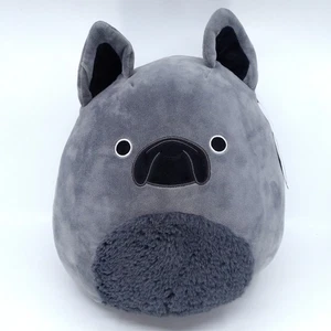 Squishmallows Regz die Französische Bulldogge Stofftier Plüschtier 12 Zoll selten mit Etikett - Bild 1 von 14