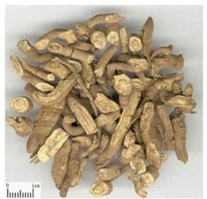 Qust al Bahri root Sea Incense Kushta Roots, Saussurea Lappa (Costus), FREE SHIP - Picture 1 of 1