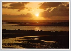 Una hermosa puesta de sol en Alaska, vista panorámica, postal vintage - Imagen 1 de 2