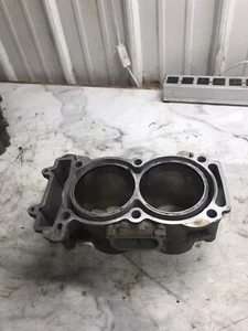 24 Polaris RZR RGR 1000 Ranger DOHC Engine cylinders jugs - Picture 1 of 12
