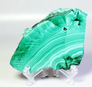 186 g natürlicher polierter Malachit Edelstein Quarz Kristall Scheibe Mineral Probe Ständer - Bild 1 von 14