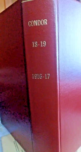 The Condor. Volume v.18-19 1916-1917 - Imagen 1 de 14
