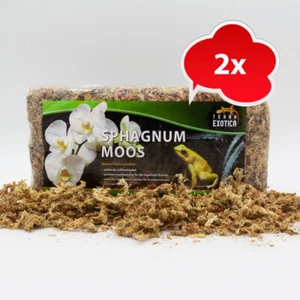 Terra Exotica Sphagnum Moos 300 g , ergibt ca. 24 Liter lockeres Moos - Bild 1 von 3