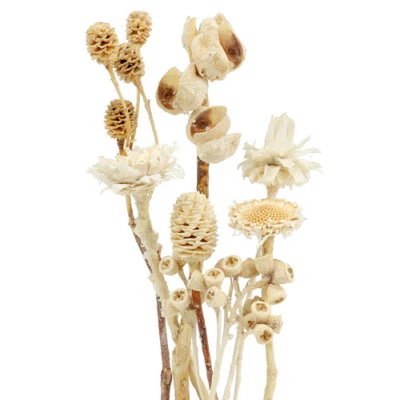 Trockenblumen Mix 60St Deko Exoten Sortiment gebleicht für Floristik und - Bild 1 von 3