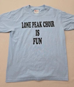 Camisa Hanes Heavyweight 50/50 Para Hombre Pequeña Azul Estampado de Texto Cuello Redondo Sensación De Colección - Imagen 1 de 9