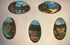 Placas rústicas Au Sable Woodworking Co. Frederic Michigan postal - Imagen 1 de 2