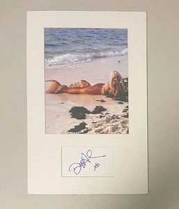 Daryl Hannah Splash matted signed index card with photo 11x17 #1 Madison - Picture 1 of 2