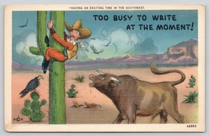 Postal cómica de humor de caza de toros de cactus de vaquero de Phoenix Arizona - Imagen 1 de 2