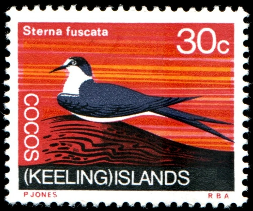 Cocos Keeling Islands 1969 30c Sooty Tern MNH - SG 17 - Image 1 of 1
