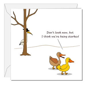 Lustige Geburtstagskarte für Mann Frau Ihn Ihre Enten Tiere Humorvoll Swizzoo - Bild 1 von 9