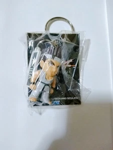 Virtua Fighter Figur Schlüsselanhänger Akira Retro Maskottchen Sega selten Japan Hobby Z Q7 2 - Bild 1 von 6