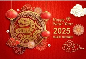 Chinese Happy New Year 2025 Banner 8'x10' Backdrop Photo Prop Backdrop- New - Picture 1 of 5