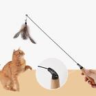Zabawki dla kotów Wewnętrzne koty Teaser Zabawka dla innych zwierząt domowych Kotek Małe zwierzęta