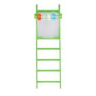 Sky Pets Plastic Ladder, Helps to Encourage your bird to climb to reach items