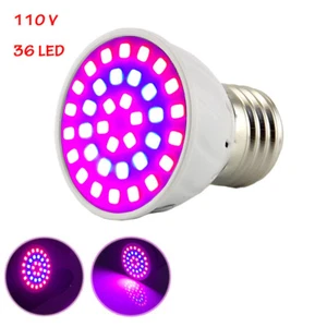 36 LED Plant Grow Light E27 Lamps for Plants Flower Vegs Greenhouse Hydro - Picture 1 of 9