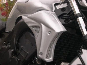 Yamaha fz6 Fazer 600 Escopas radiador tapas ecopes radiator cover - Imagen 1 de 9