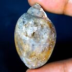100% Natural Antique Fossil SNAIL DRUZY 85.00Cts Fancy Cabochon Loose Gemstone